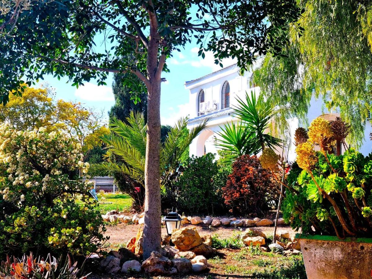 Chalet Alicante Sol Y Luz San Vicente Raspeig ภายนอก รูปภาพ